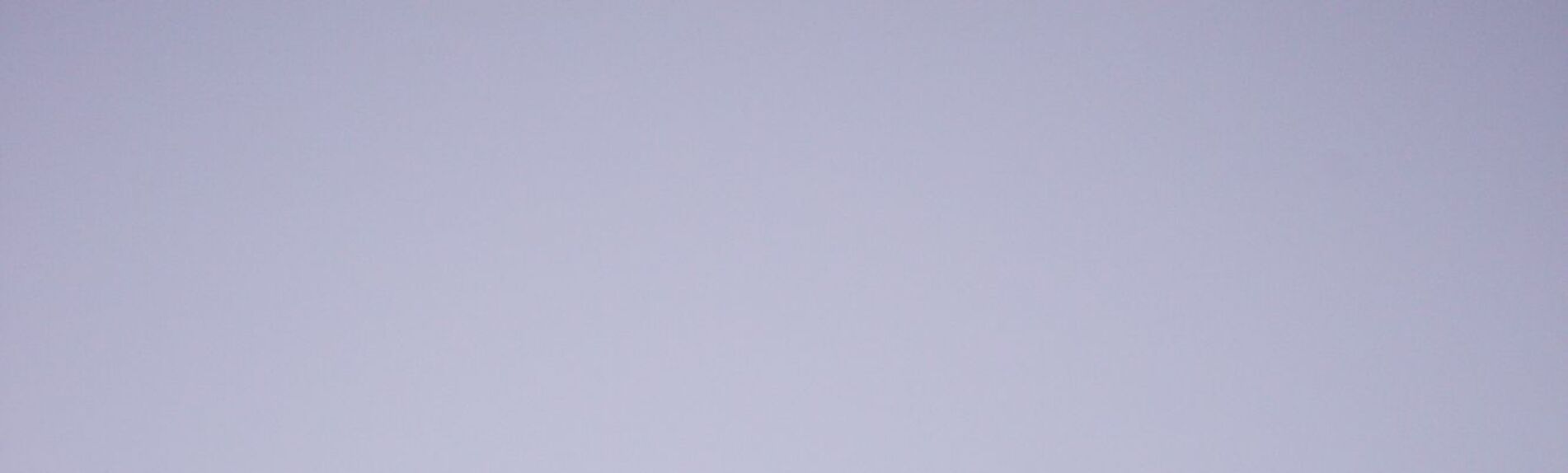 sharon-mccutcheon-tn57JI3CewI-unsplash